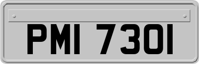 PMI7301