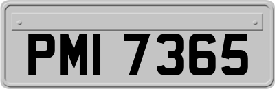 PMI7365
