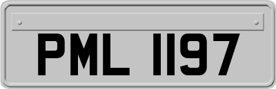PML1197