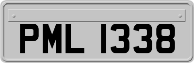 PML1338
