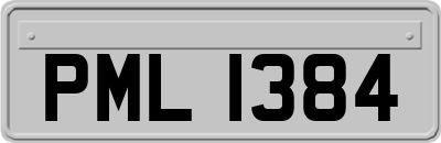 PML1384