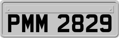 PMM2829