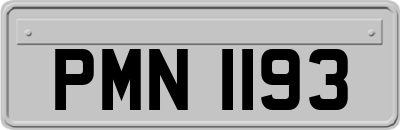 PMN1193