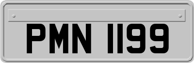 PMN1199