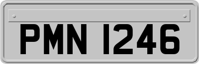PMN1246