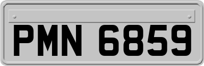 PMN6859