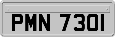 PMN7301