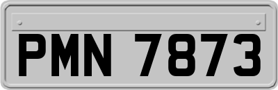 PMN7873