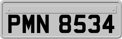 PMN8534