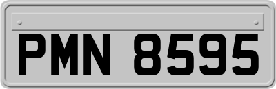 PMN8595