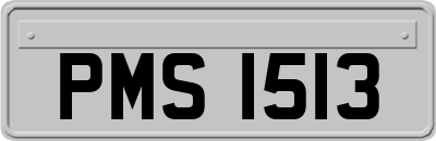 PMS1513