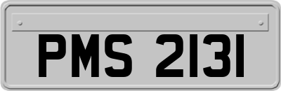 PMS2131