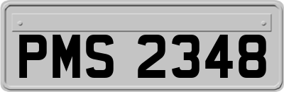 PMS2348