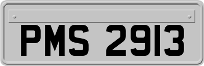 PMS2913