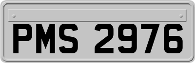 PMS2976