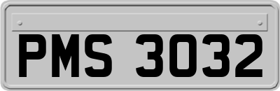 PMS3032