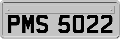 PMS5022