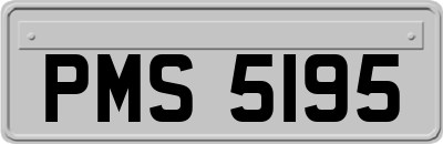 PMS5195