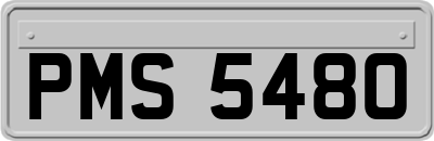 PMS5480