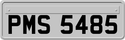 PMS5485