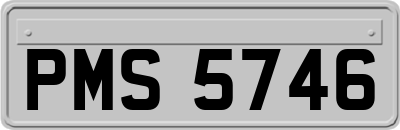 PMS5746