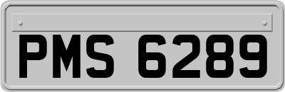 PMS6289