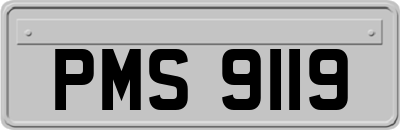 PMS9119