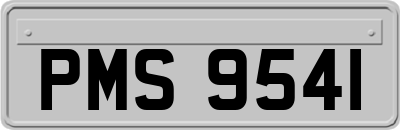PMS9541