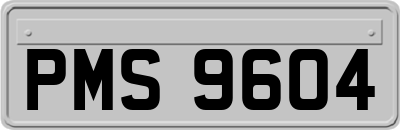 PMS9604