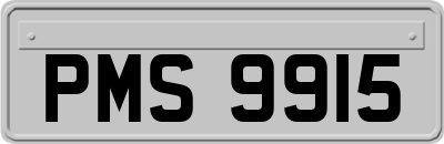 PMS9915