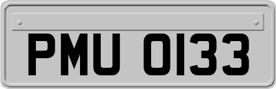 PMU0133