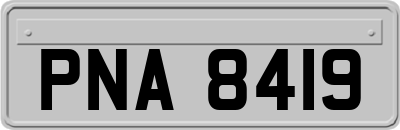 PNA8419