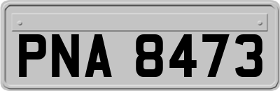 PNA8473