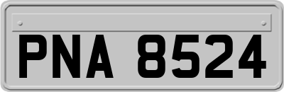 PNA8524