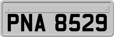 PNA8529