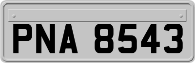 PNA8543