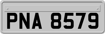 PNA8579