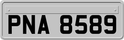 PNA8589