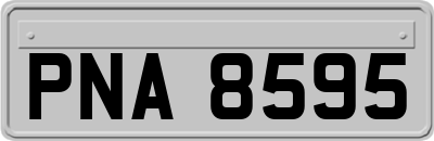 PNA8595