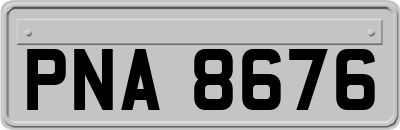 PNA8676