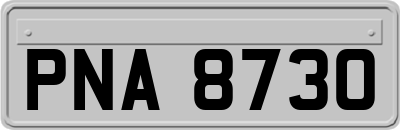 PNA8730