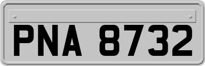 PNA8732