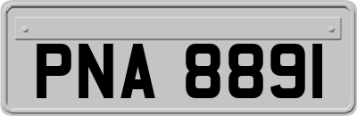 PNA8891