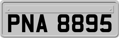 PNA8895
