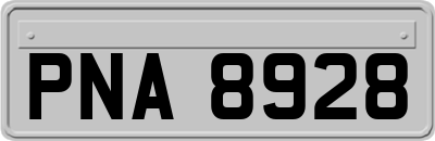 PNA8928