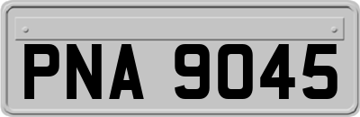 PNA9045