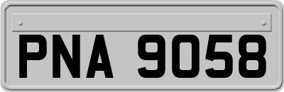 PNA9058
