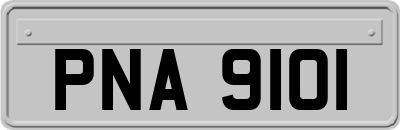PNA9101