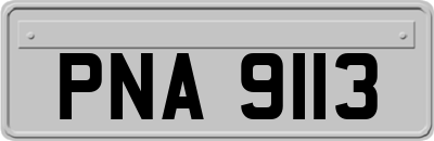 PNA9113