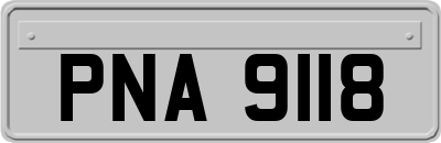 PNA9118